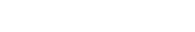 Web Design F&P