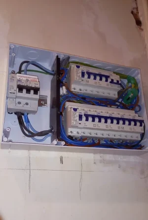 ACE-DPS-2